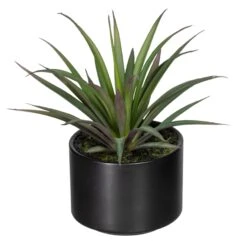 Deko-Sukkulente Aloe, Agave Und Tillandsie 3er Set In Grün -Heimdekoration Verkäufe creativ green deko sukkulente aloe agave und tillandsie 3er set in grun 3