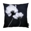 Kissen "Wild Flowers 2" In Schwarz & Weiß -Heimdekoration Verkäufe juniqe kissen wild flowers 2 in schwarz and weiss