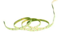 LED-Stripe (L) 5 M In Grün