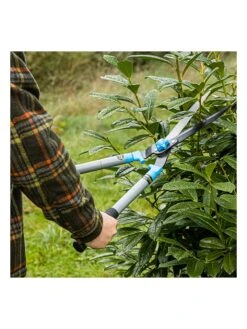 Teleskopschere In Silber - 82 Cm