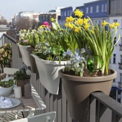 4 X Bewässerungskugel In Lila -Heimdekoration Verkäufe relaxdays 4 x bewasserungskugel in lila 4
