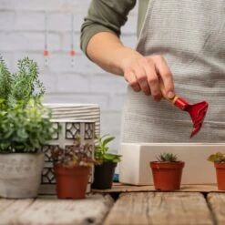 4 X Wandhaken In Silber/ Rot -Heimdekoration Verkäufe relaxdays 4 x wandhaken in silber rot 2