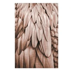 Leinwandbild - Federn In Rosegold In Braun