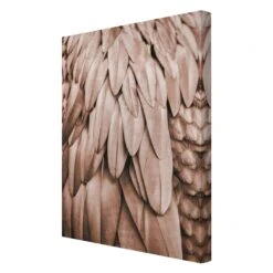 Leinwandbild - Federn In Rosegold In Braun -Heimdekoration Verkäufe wallart leinwandbild federn in rosegold in braun 5
