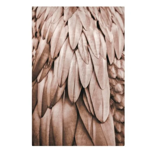 Leinwandbild - Federn In Rosegold In Braun