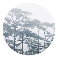 Runde Tapete - Baumkronen Im Nebel In Grau