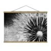 Stoffbild Mit Posterleisten - Pusteblume Schwarz & Weiß In Schwarz-Weiß -Heimdekoration Verkäufe wallart stoffbild mit posterleisten pusteblume schwarz and weiss in schwarz weiss