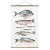 Stoffbild Mit Posterleisten - Sieben Fische In Aquarell II In Pastell -Heimdekoration Verkäufe wallart stoffbild mit posterleisten sieben fische in aquarell ii in pastell