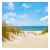 Vliestapete Premium - Strand An Der Nordsee In Beige -Heimdekoration Verkäufe wallart vliestapete premium strand an der nordsee in beige