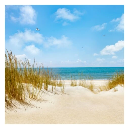 Vliestapete Premium - Strand An Der Nordsee In Beige
